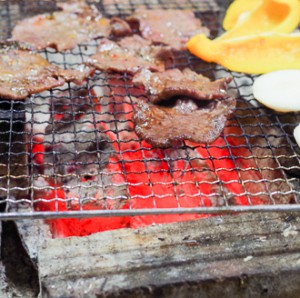 20150409IMGP7377